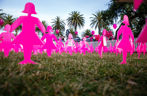 mini field of pink lady silhouettes 