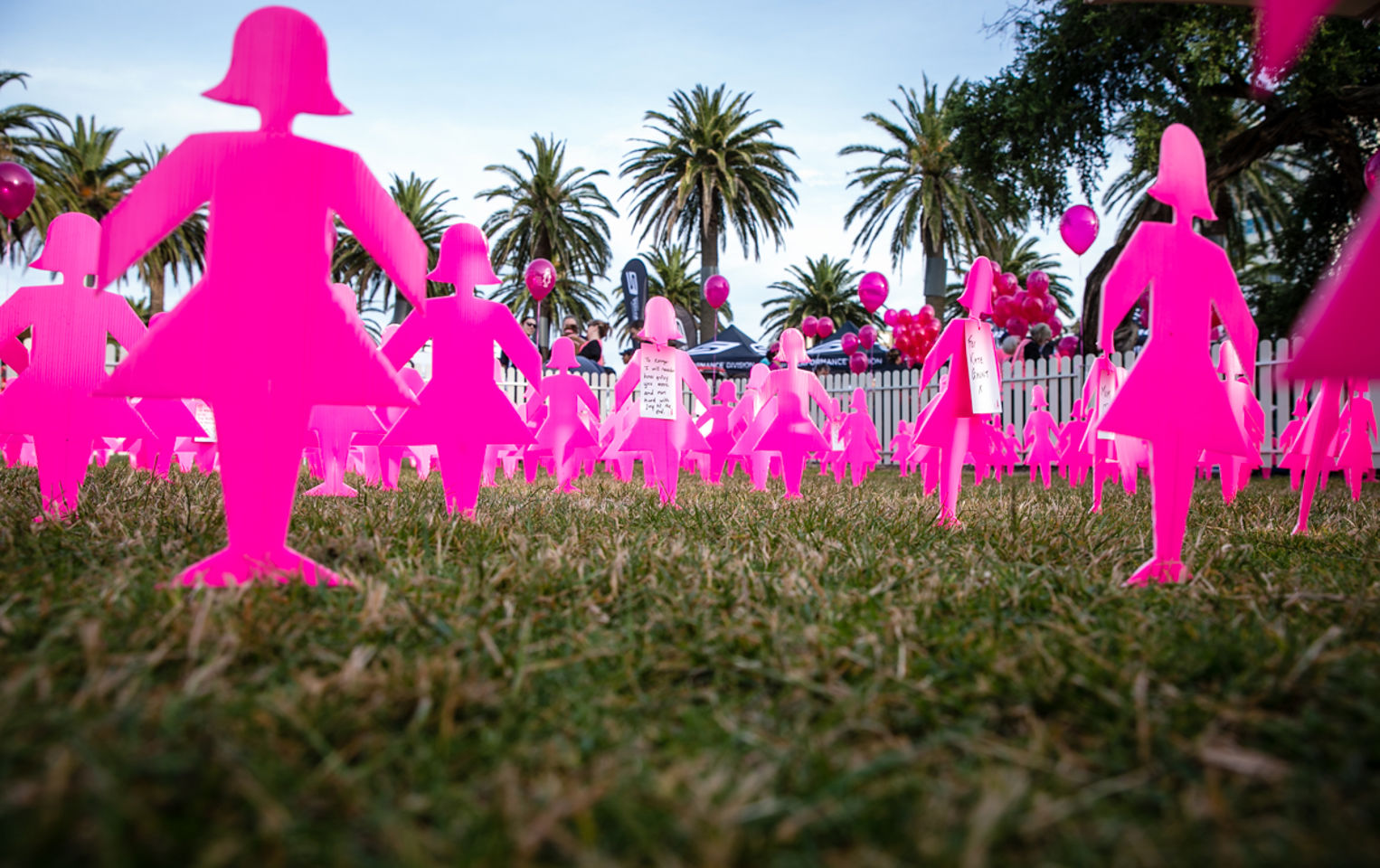 mini field of pink lady silhouettes 