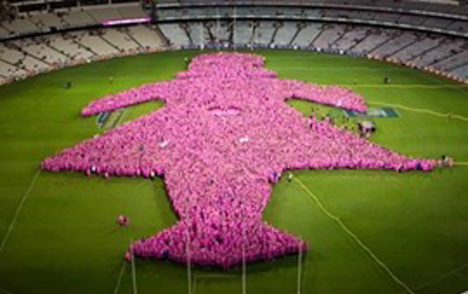 Photo of the 2005 'Field of Women' event - an aerial photo shows people making up the Pink Lady shape on the green grass of the MCG