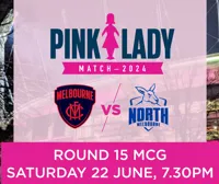 Pink Lady Match 2024 poster
